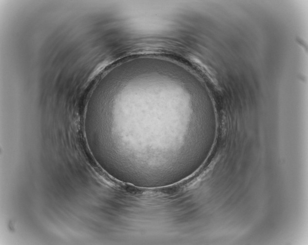 X0000095891449200802011056