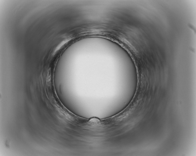 X0000095891450200802011056