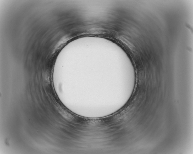 X0000095891451200802011056