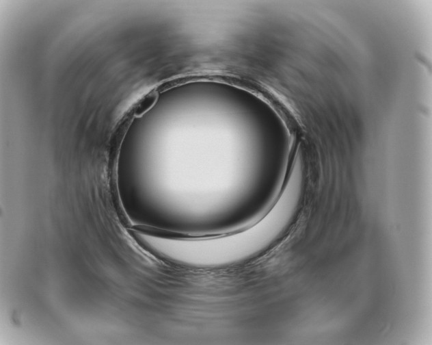 X0000095891452200802011056