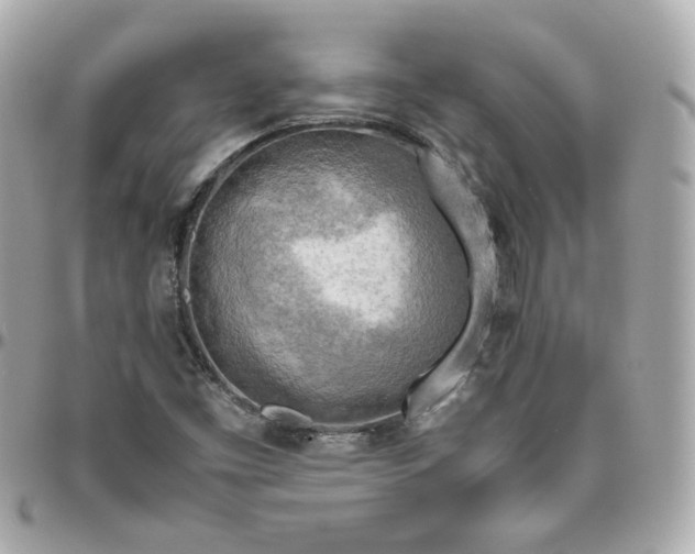 X0000095891453200802011056