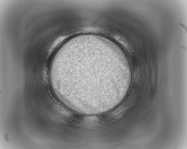 X0000095891454200802011056