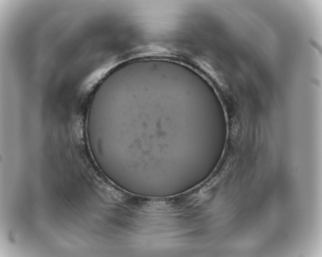 X0000095891455200802011056