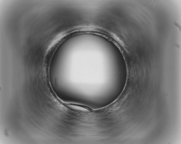 X0000095891456200802011056