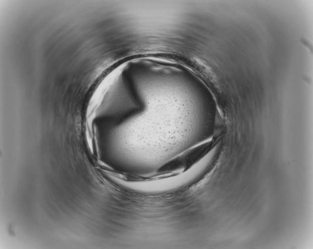 X0000095891457200802011056