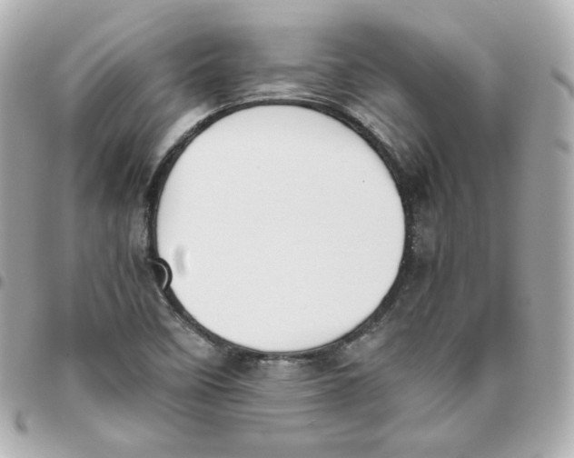 X0000095891458200802011056