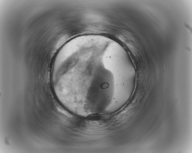 X0000095891459200802011056