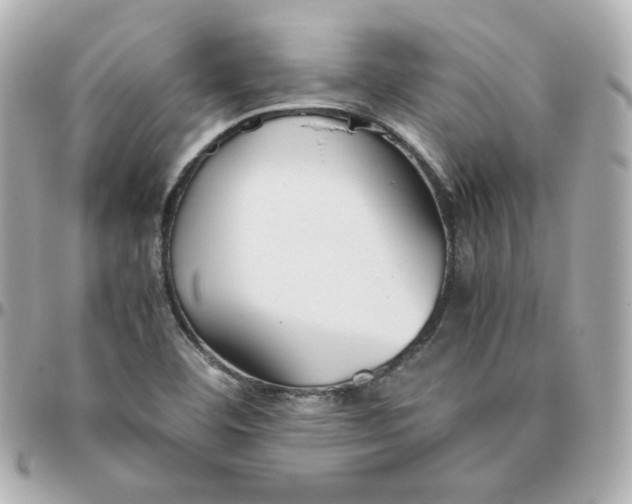 X0000095891460200802011056