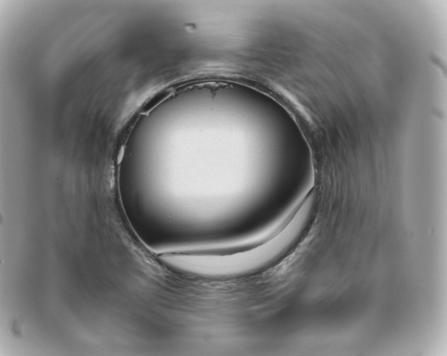 X0000095891461200802011056