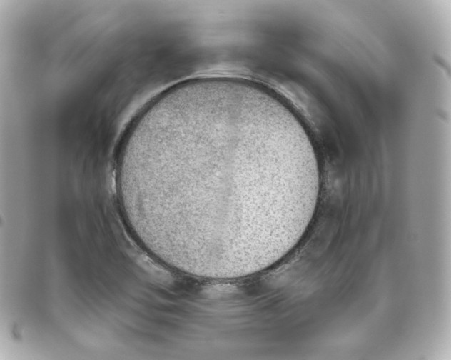 X0000095891462200802011056