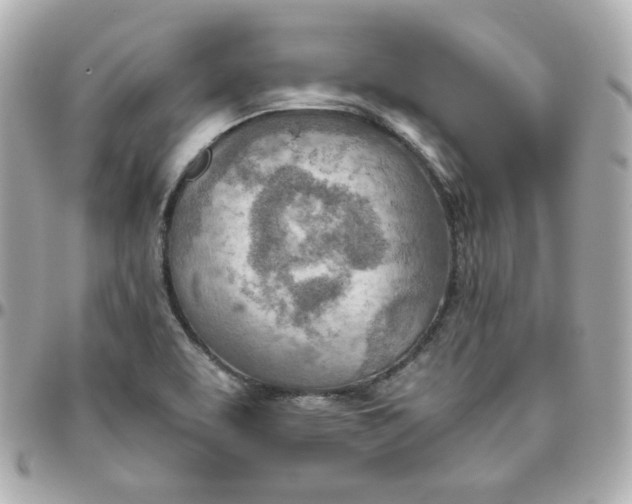 X0000095891463200802011056