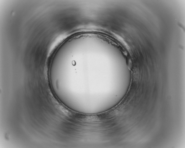 X0000095891464200802011056