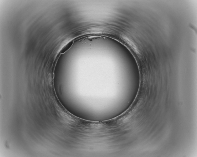 X0000095891465200802011056