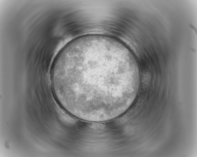 X0000095891466200802011056