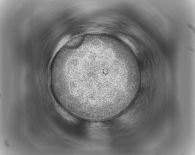 X0000095891467200802011056