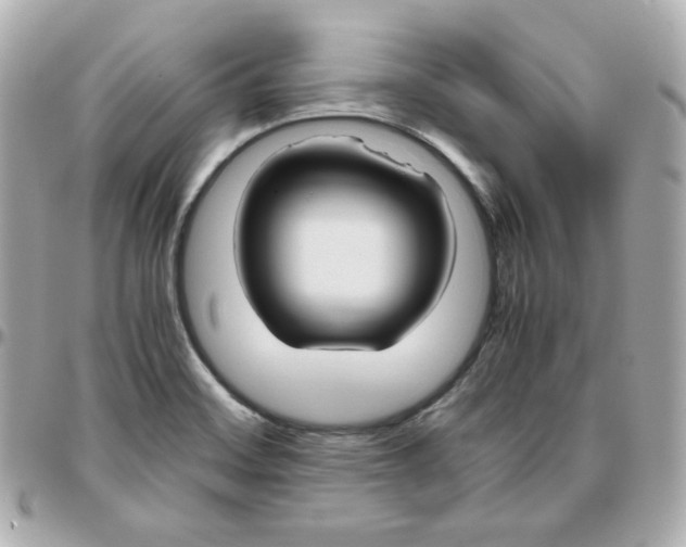 X0000095891468200802011056