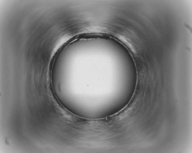 X0000095891469200802011056