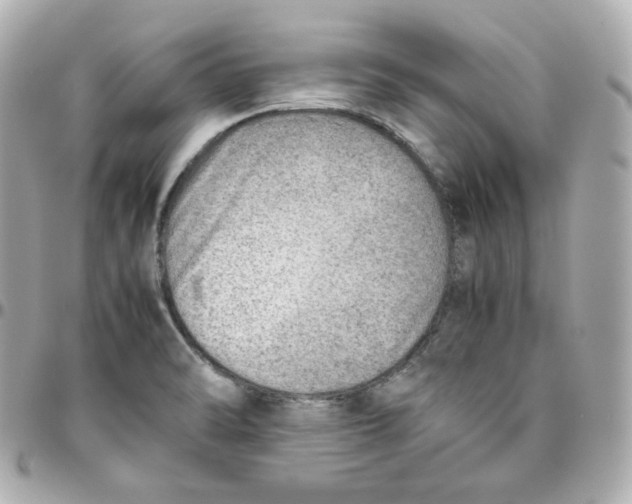 X0000095891470200802011056