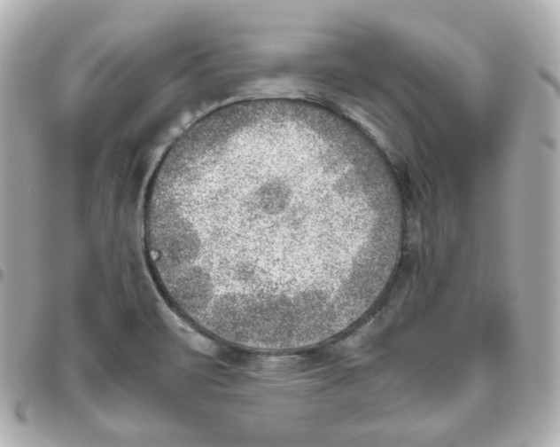 X0000095891471200802011056