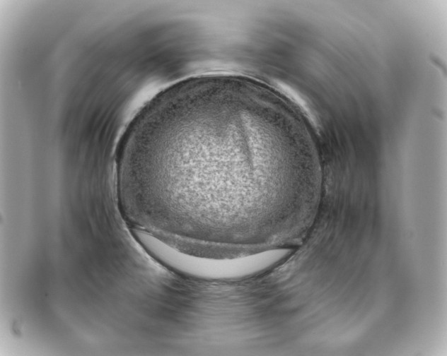 X0000095891472200802011056