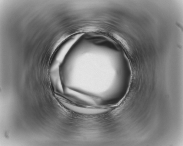 X0000095891473200802011056