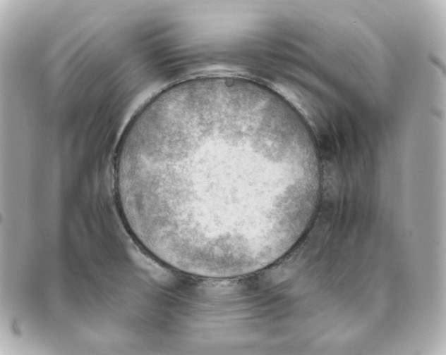 X0000095891474200802011056