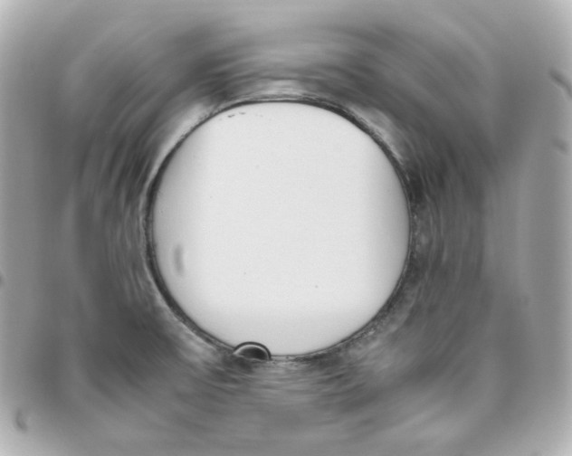 X0000095891475200802011056