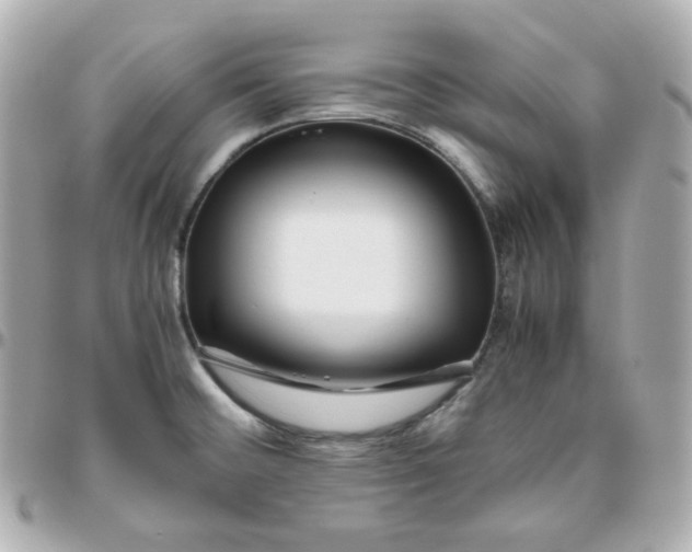 X0000095891476200802011056