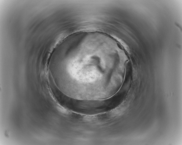 X0000095891477200802011056