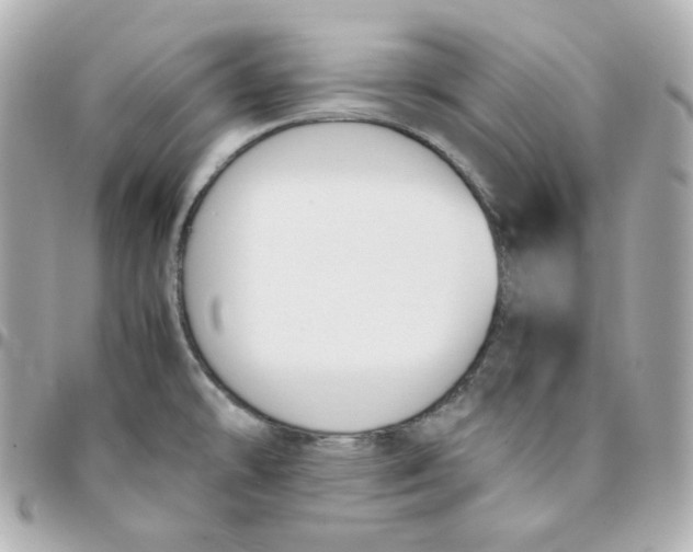 X0000095891478200802011056