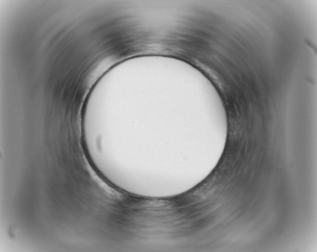 X0000095891479200802011056