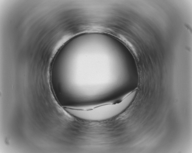 X0000095891480200802011056