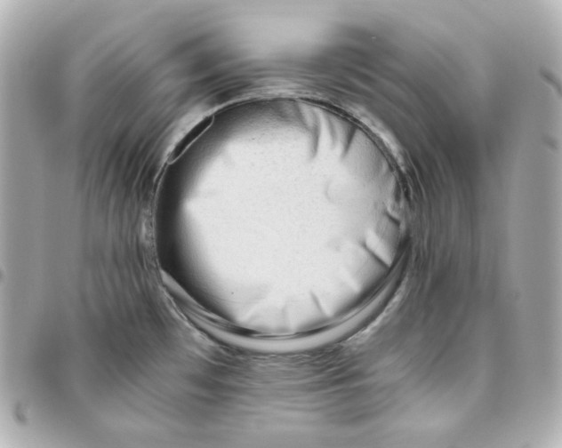 X0000095891481200802011056