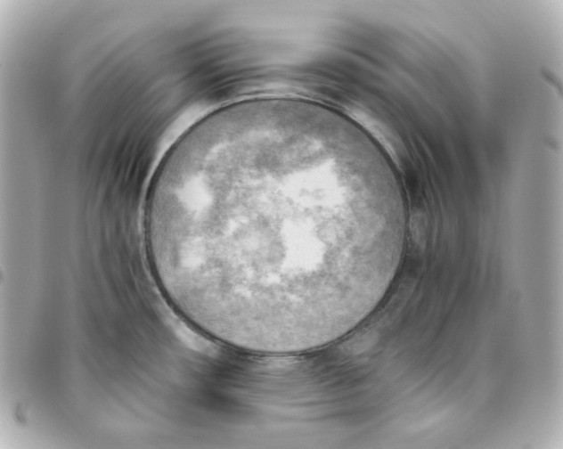 X0000095891482200802011056