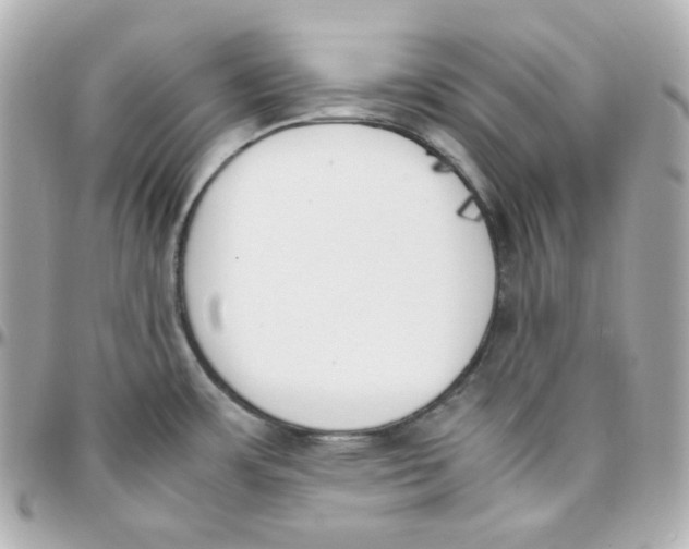 X0000095891483200802011056