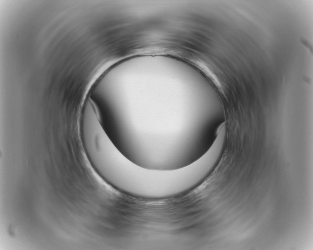 X0000095891484200802011056