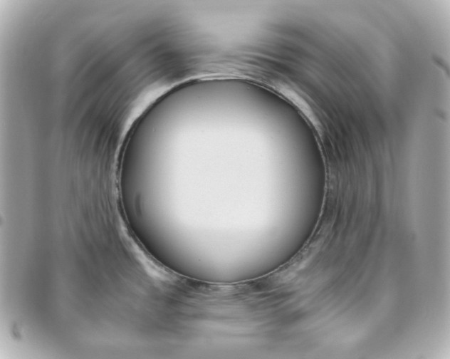 X0000095891485200802011056