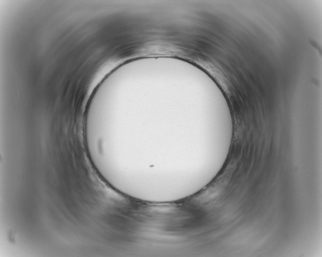 X0000095891486200802011056