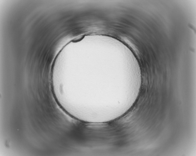 X0000095891487200802011056