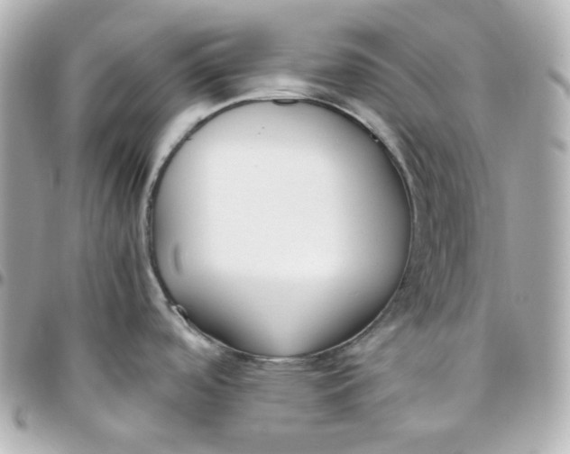 X0000095891488200802011055