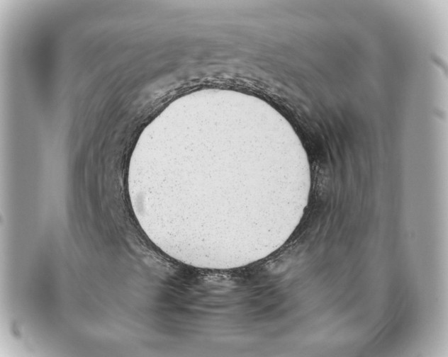 X0000095891489200802011055