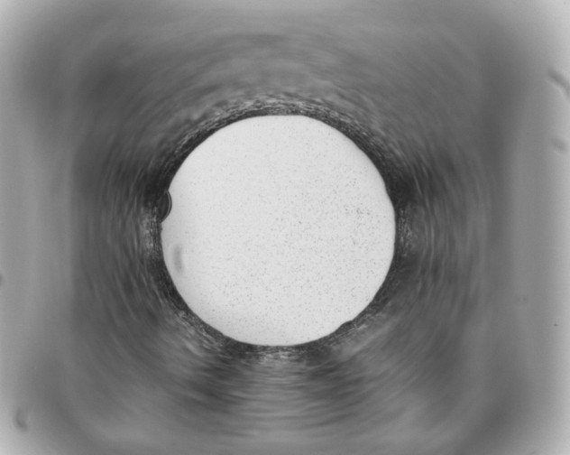 X0000095891490200802011055