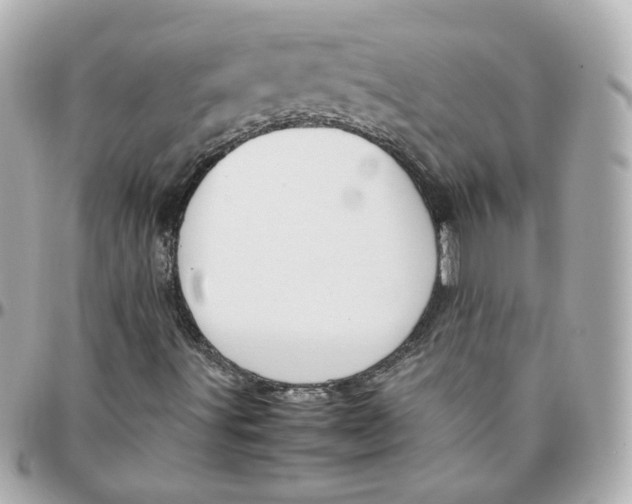 X0000095891491200802011055