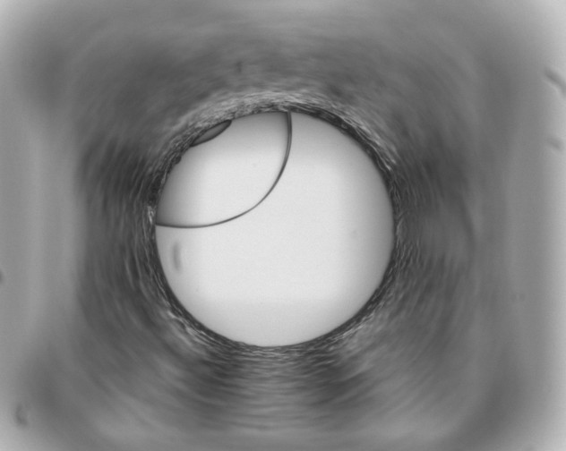 X0000095891492200802011055