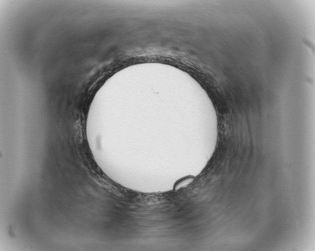 X0000095891493200802011055