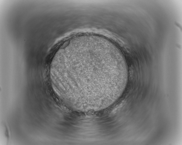 X0000095891494200802011055