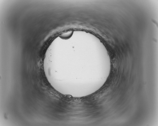 X0000095891495200802011055