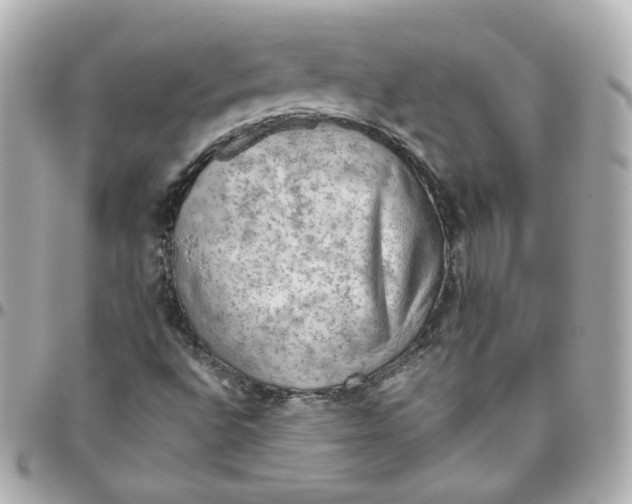 X0000095891496200802011055