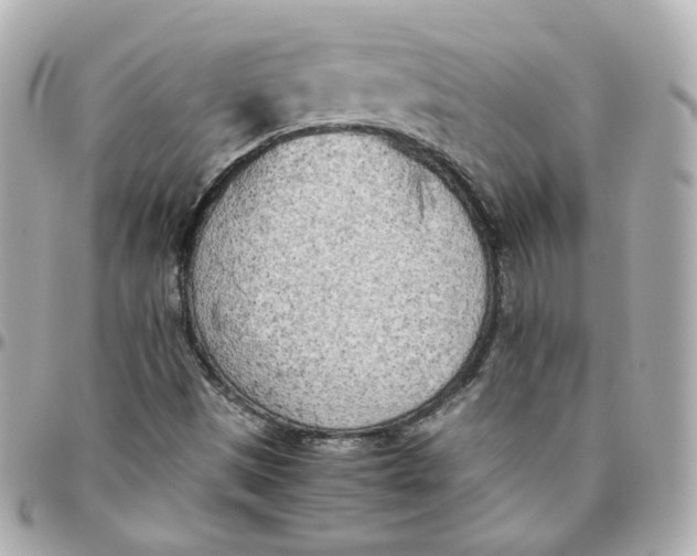 X0000095891497200802011055