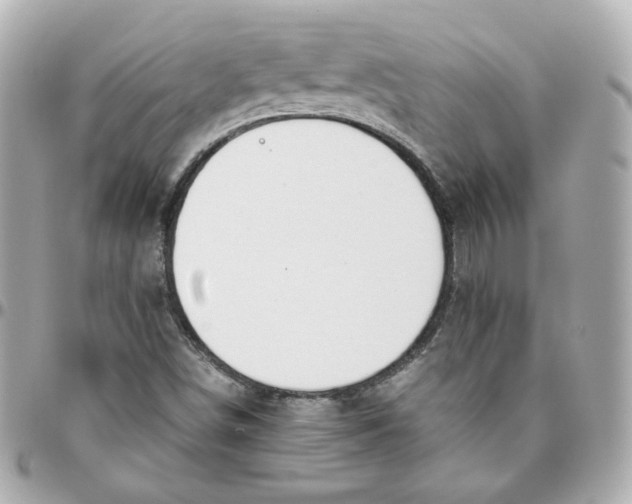 X0000095891498200802011055